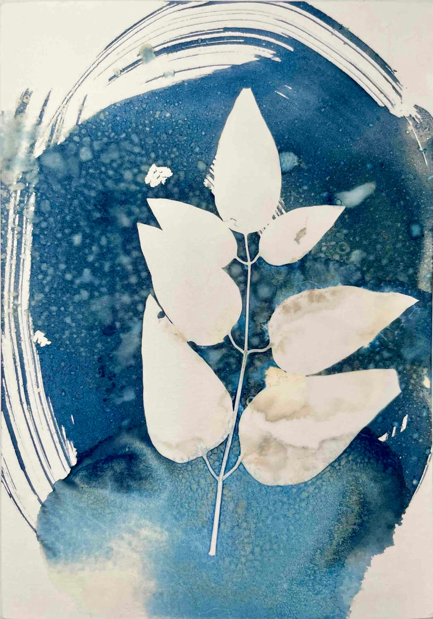 Untitled wet cyanotype