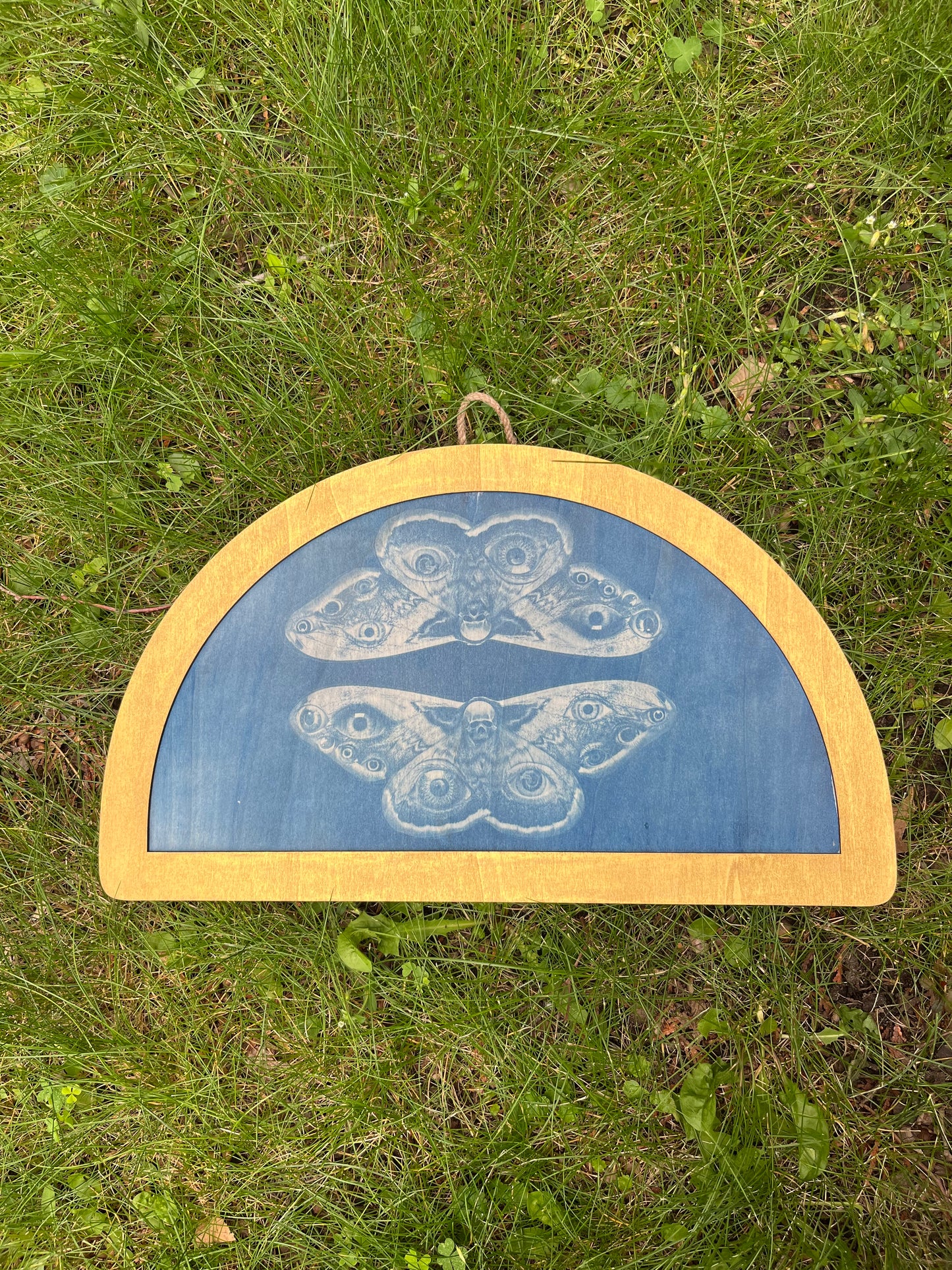 Death moth wall hanging 17x10 wood