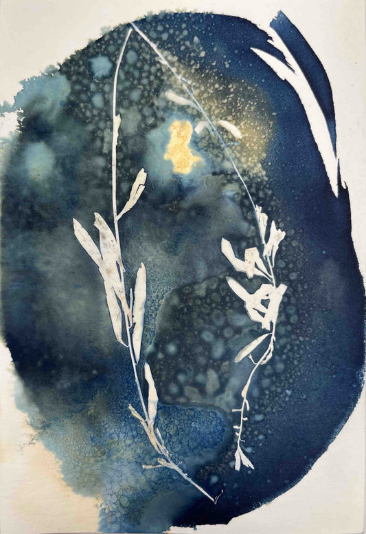 Wet cyanotype untitled