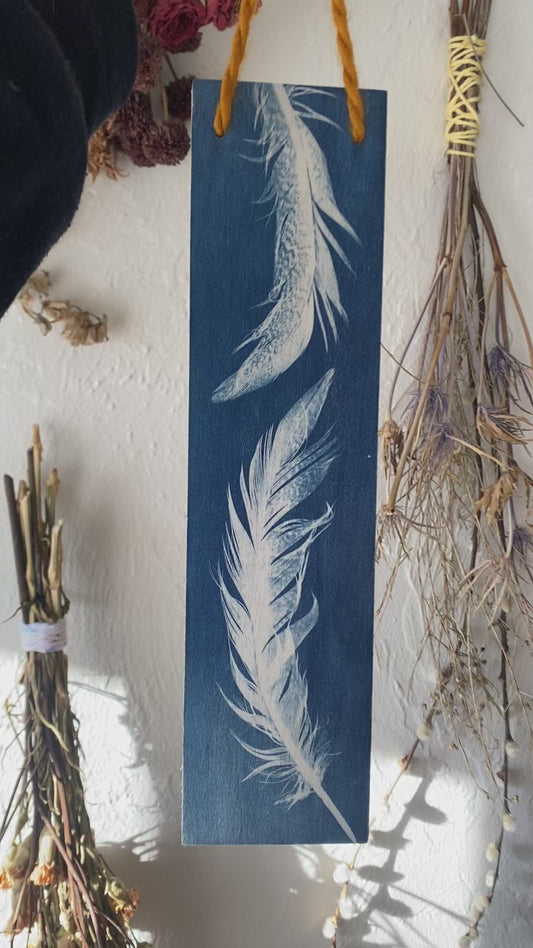 Two feathers on wood
