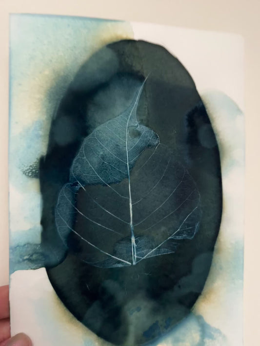 Wet skeleton leaf Cyanotype