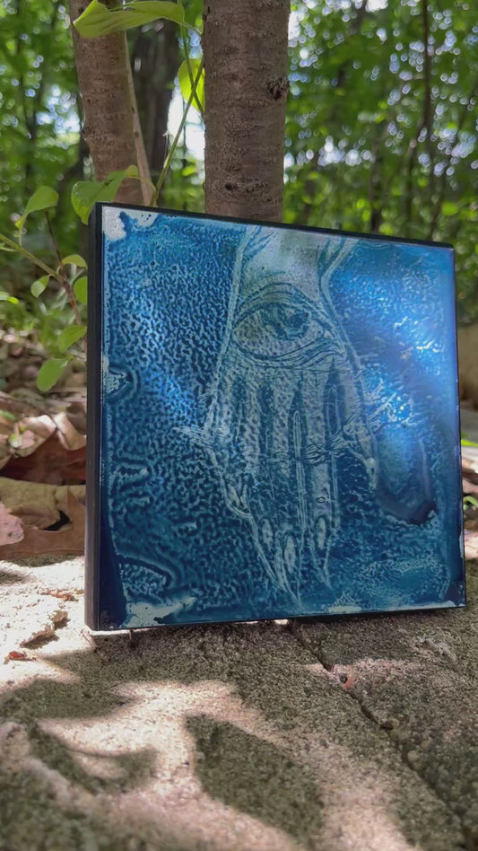 All seeing hand mirror